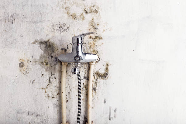 Best Health and Safety Mold Remediation in Dos Palos, CA