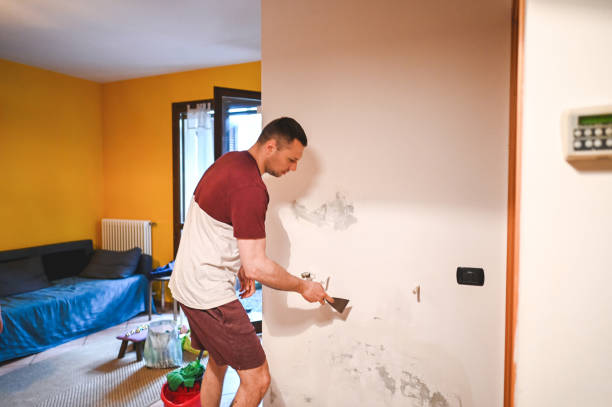 Best Insurance-Related Mold Remediation in Dos Palos, CA