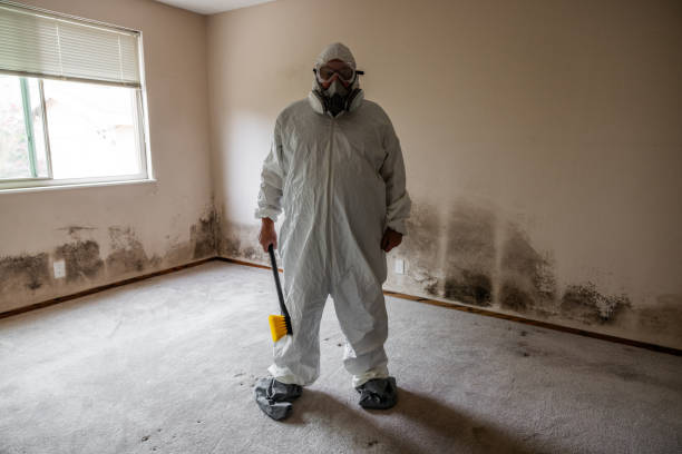 Best Industrial Mold Remediation in Dos Palos, CA